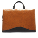 LAPTOP BAGS-BG37 H-11 L-15 W-2 INCH- PRICE-3200