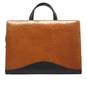 LAPTOP BAGS-BG37 H-11 L-15 W-2 INCH- PRICE-3200
